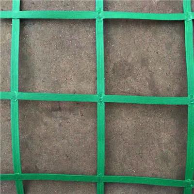 绿色植物防护网山体绿色挂网钢塑土工格栅