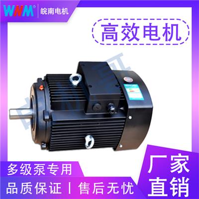 微电机电机 多级泵电机 适用于泵