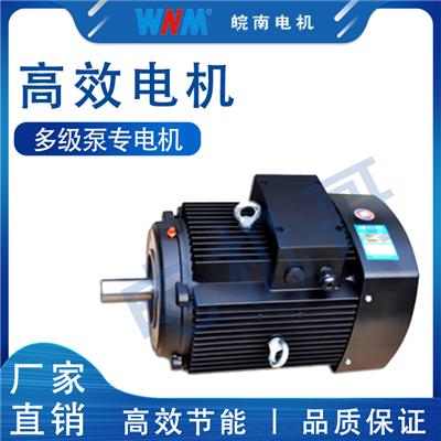 微型特种电机 多级泵电机 耐用度强