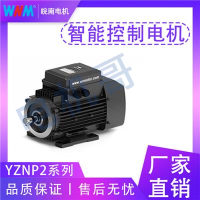 长治市皖南电机 YZNP2系列智能控制三相异步电动机 耐用度强