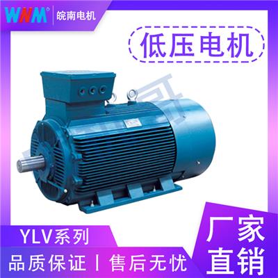江苏皖南电机 YD2系列变较多速三相异步电动机 好用不贵
