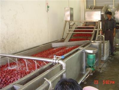 新疆红枣加工厂设备H一条红枣生产线加工设备价格