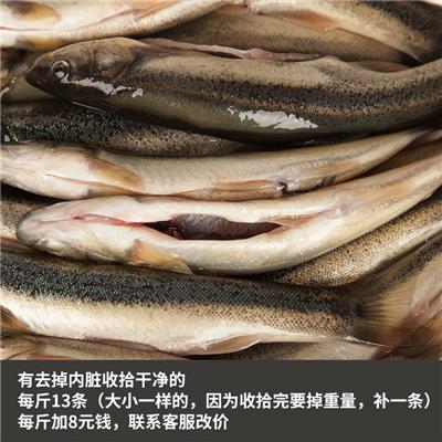 東北柳根魚批發，黑龍江柳根魚價格