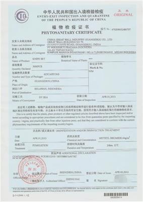 出口检测认证流程 深圳市利恒佳进出口有限公司