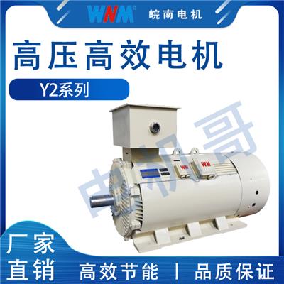 蚌埠皖南电机代理公司 Y2系列高压三相异步电动机 可非标定制