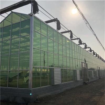 玻璃智能温室大棚推荐 山东智能玻璃温室厂家