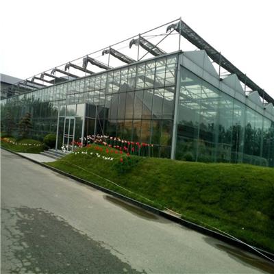 玻璃温室大棚推荐 玻璃温室厂家