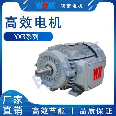 石家庄皖南电机销售点 YX3系列高效三相异步电动机 噪音低