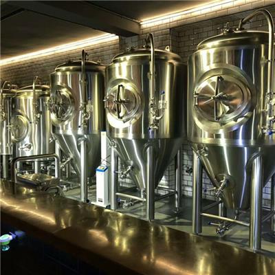 德国原浆精酿啤酒生产设备，原浆鲜啤设备生产厂家