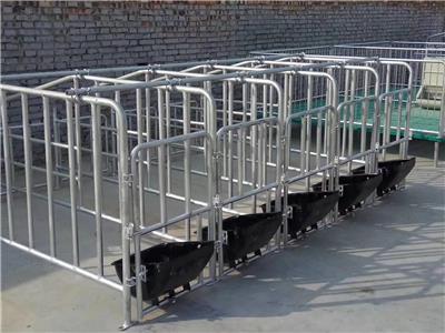 定位栏复合板限位栏猪养殖场保育床养殖设备母猪栏位产床