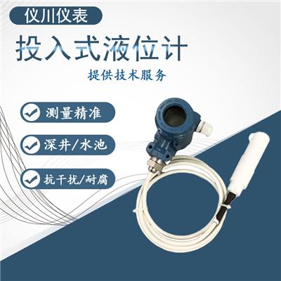 上海仪川 LED-800投入式静压液位计