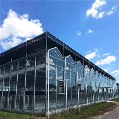 智能玻璃温室大棚推荐 河北智能玻璃温室厂家批发