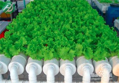悬挂种植式蔬菜立体种植槽--种植槽生产厂家