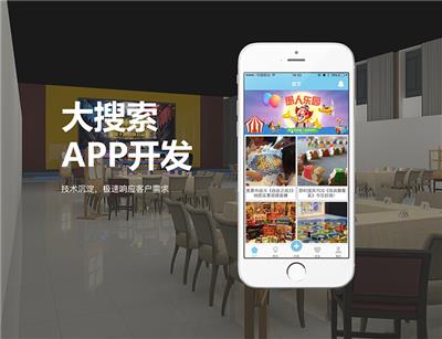 成都大搜索app开发