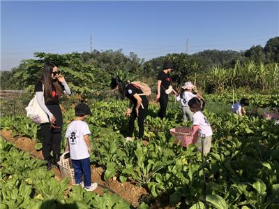 深圳中小学春游可玩性强有特点的农庄