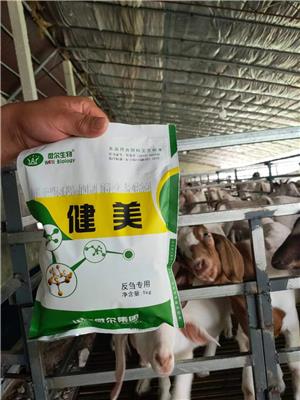 牛羊饲料添加剂改善瘤胃调节肠道除氨臭