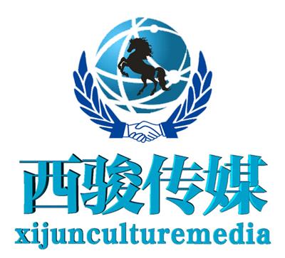 上海網站優化-SEO優化-網絡推廣-軟文推廣找西駿傳媒