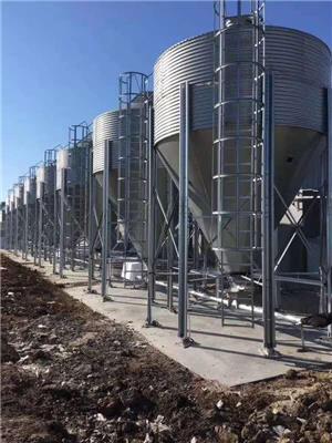 养殖镀锌板饲料塔、自动化养殖料线设备批发厂家