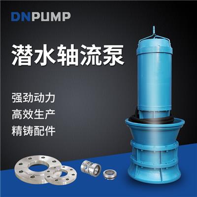 潛水軸流泵保養 高電壓水泵 標準潛水軸流泵
