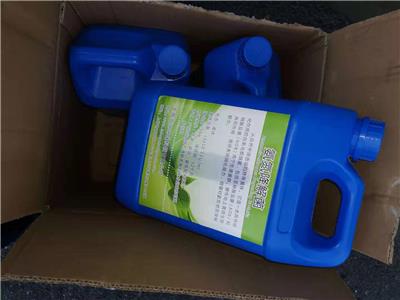 污水氨氮**标氨氮菌-快速恢复硝化系统-硝化菌生产厂家