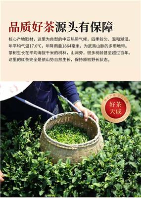 	  正山小种红茶茶叶礼盒装罐装2020新茶浓香型春茶共500g