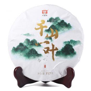 2019年大益千山一叶普洱茶报价-广州茶有益茶业