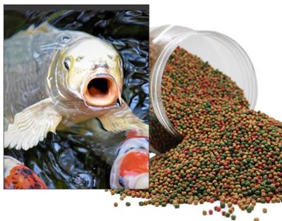 鱼饲料膨化机价格表 小型膨化鱼饲料机 锦鲤饲料 机械