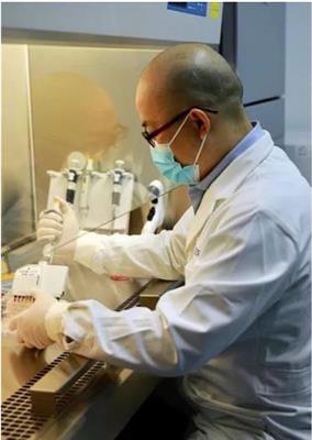 鼻病毒抑制率實驗 提供各項毒理檢測服務