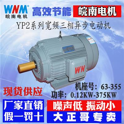 皖南电机YX3-355L-12 110KW厂家直销