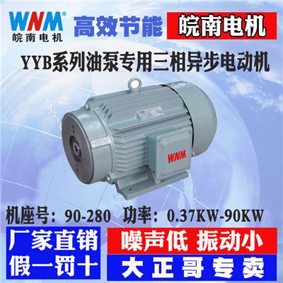 皖南电机YX3-315L1-6 110KW厂家直销