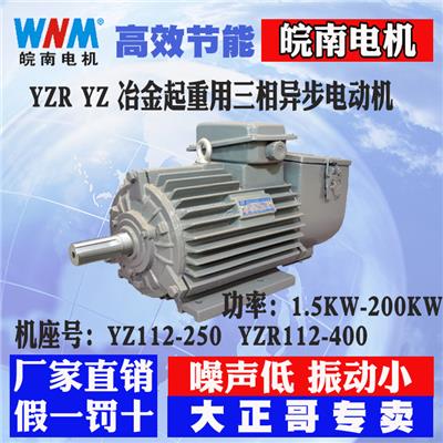 皖南电机YX3-80M1-6 0.37KW厂家直销