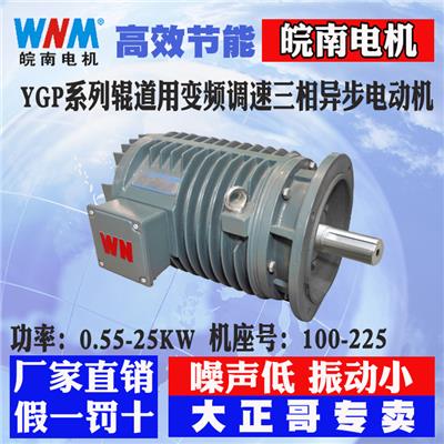 皖南电机YX3-160M2-2 15KW厂家直销