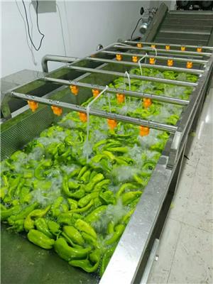 贵州净菜加工设备 大型净菜加工生产线 叶类蔬菜加工机器 蔬菜清洗机