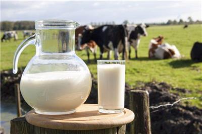 进口乳制品代理报关公司 新西兰奶粉进口清关代理 牛奶进口清关