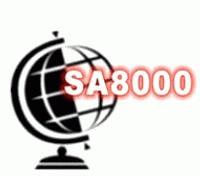 戚墅堰SA8000认证-需要什么材料