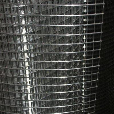 安平泰合 电焊网生产厂家 河北镀锌电焊网 定做不锈钢电焊网