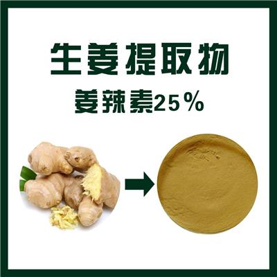 厂家供应生姜提取物 姜辣素25% 优质原料提取