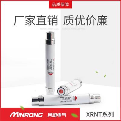 高压熔断器 PT熔断器 熔管 埃莫森 XRNT1-35/*A 熔断器厂家 直销 上海