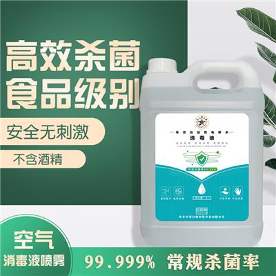 5L消毒喷雾杀菌消毒液免手洗家用室内无酒精消毒水便携