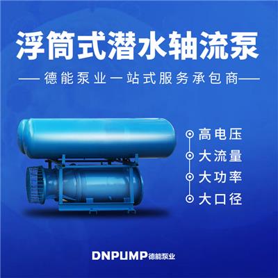专注水泵制造研发 600QZB浮筒泵