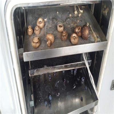 供应KMS10-100KG型真空冻干机 保持香菇冻干片原味