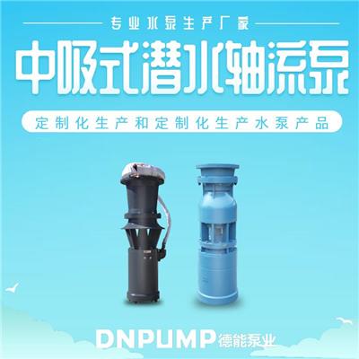 衢州中吸式轴流泵 成套设备