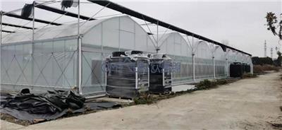 欧麦朗为南京溧水蓝莓黑莓温室大棚提供加温系统