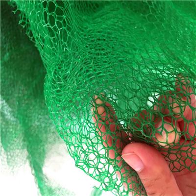 绿化三维植被网 三维网垫 三维植被护坡网 山东一诺品质可靠量大优惠