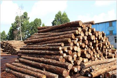 温州红木制品常规性能