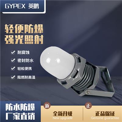 北京工业灯工厂灯FW6365A防爆行灯