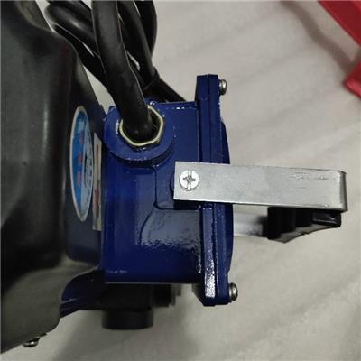 防爆汽油柴油加油泵 小型电动泵 自吸泵 扬程15-20米220V
