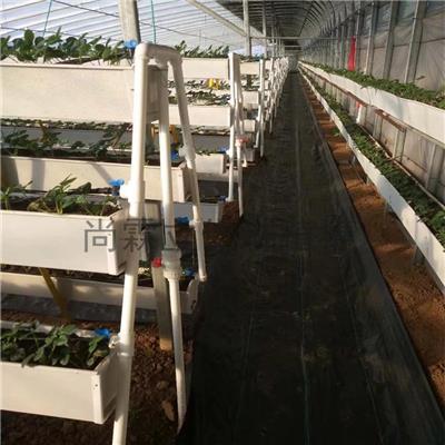 尚霖 草莓PVC材质种植槽 立体栽培槽
