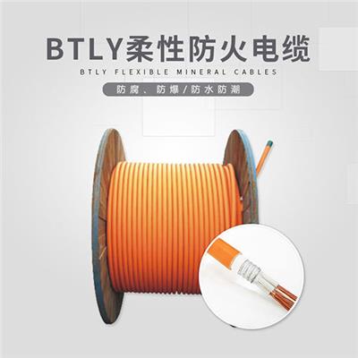 BTLY矿物质电缆