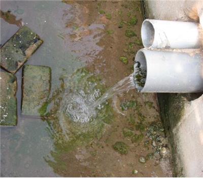 食品污水处理设备 金华小型乡村污水处理设备